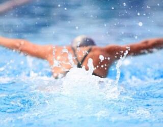 swimming lessons hobart